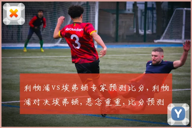 利物浦vs埃弗顿专家预测比分,利物浦对决埃弗顿,悬念重重,比分预测引关注